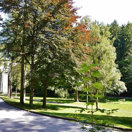 Appartement Happynest*** Mit Hallenbad Willingen  Exterior photo