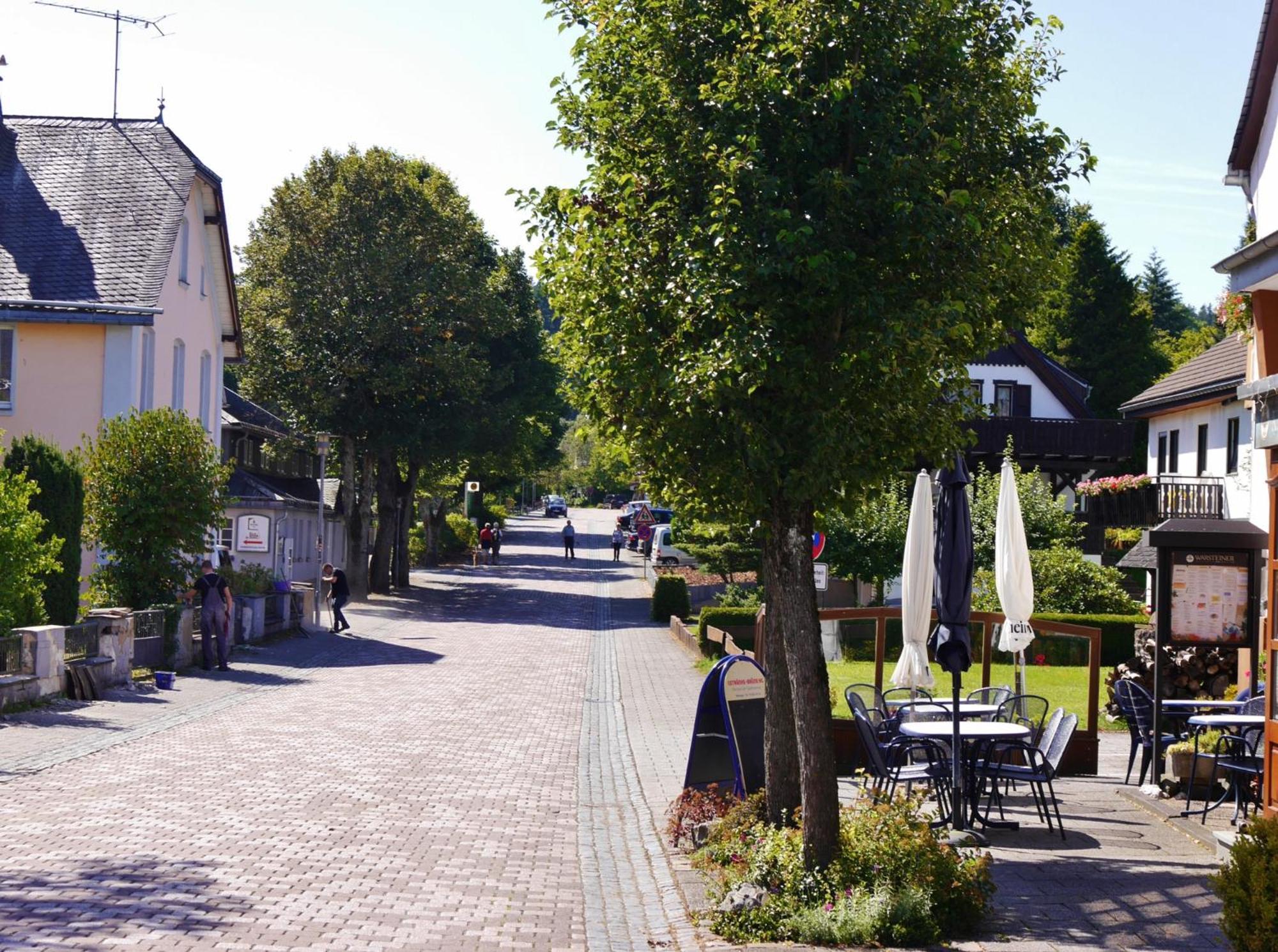 Appartement Happynest*** Mit Hallenbad Willingen  Exterior photo